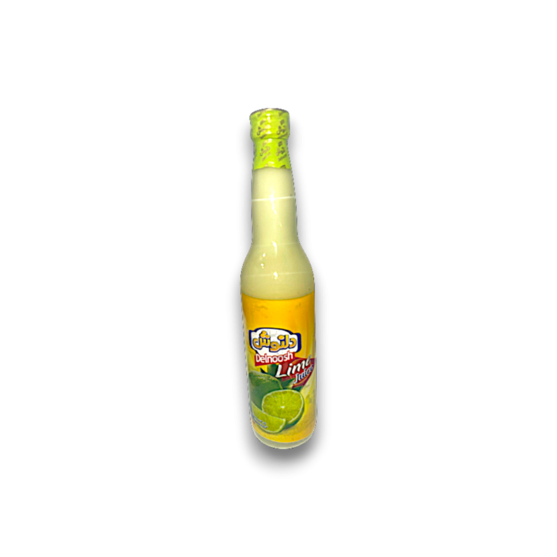 Iranian Lime Juice Delnoosh 410grx20